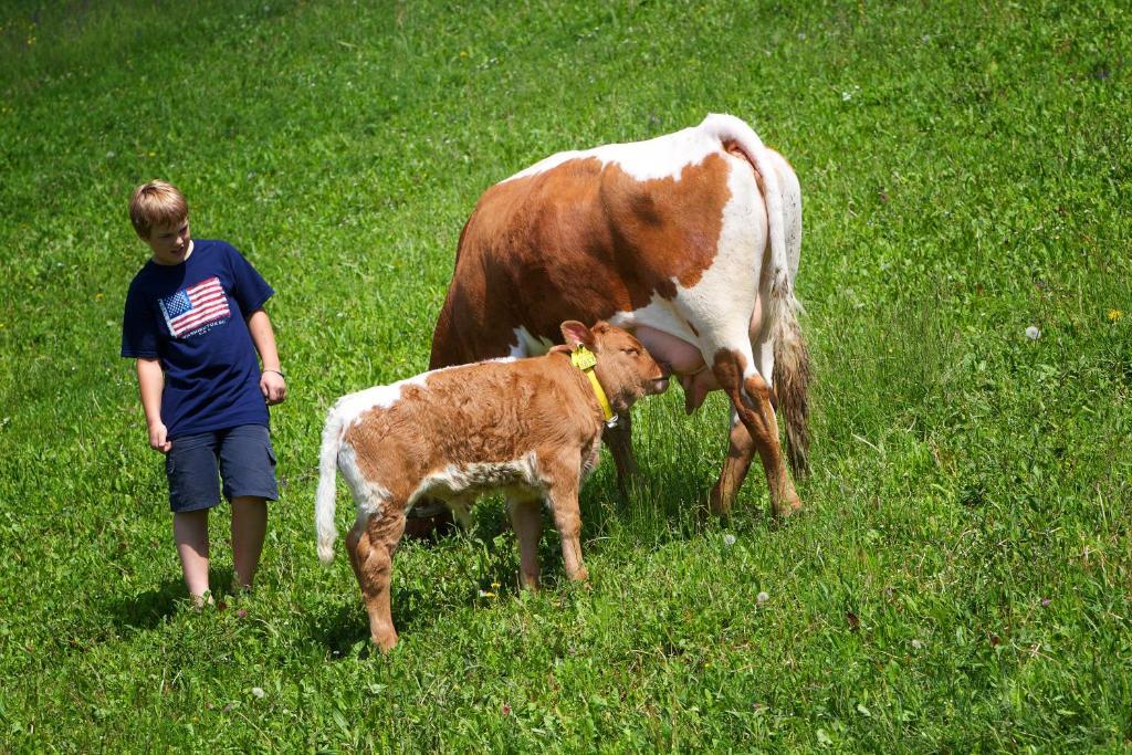 Farm Stay Pirc Lasko Bagian luar foto